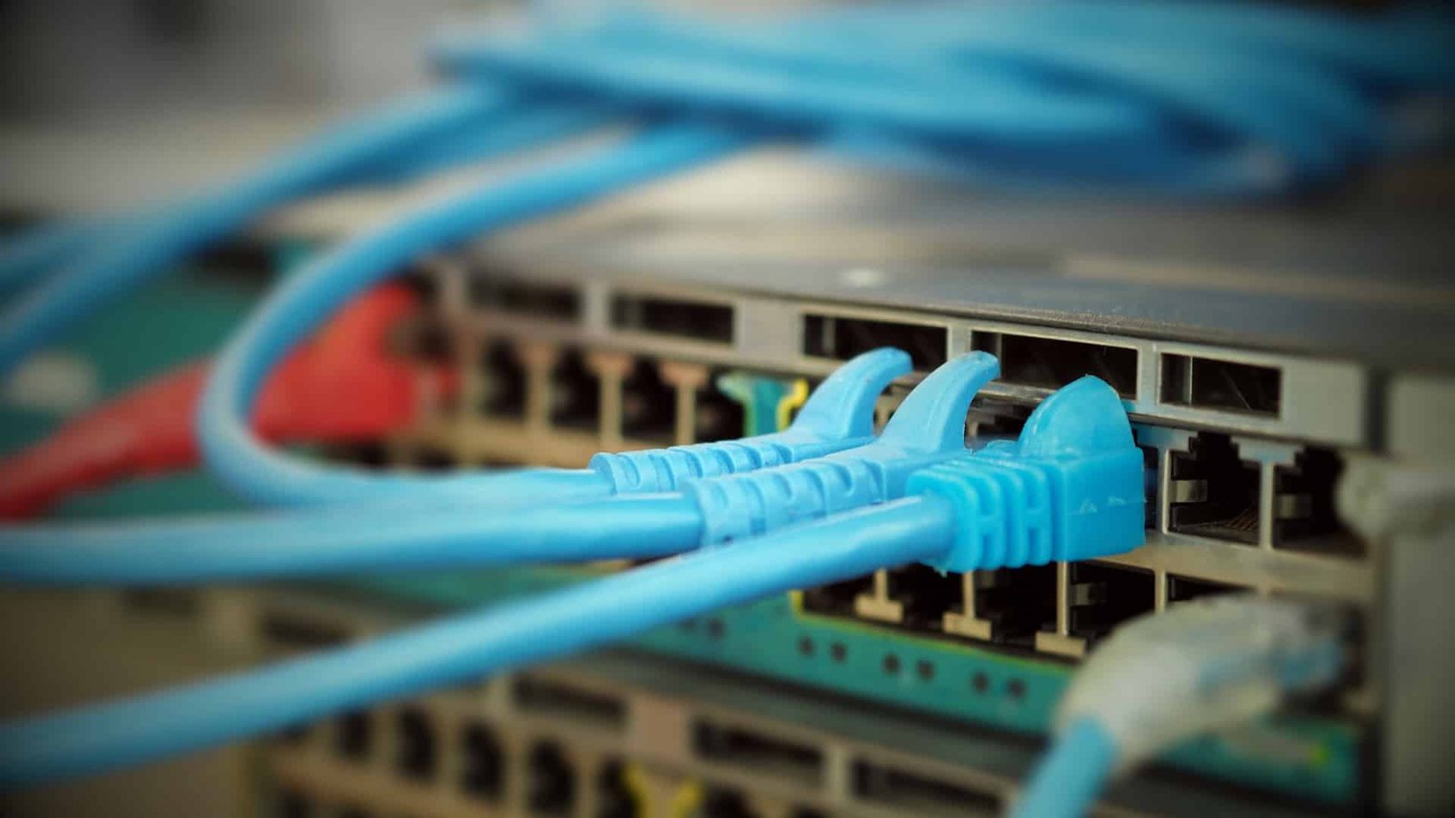 Network Connectivity