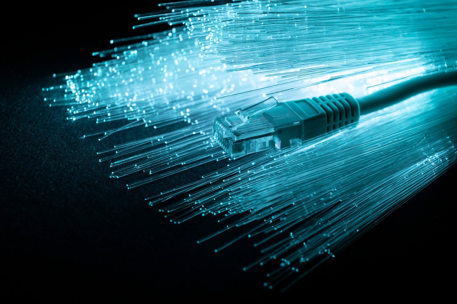 blue-optic-fiber-with-ethernet-cable (1)